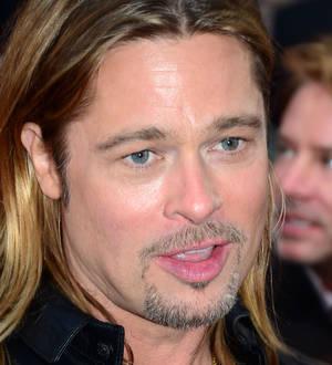 Brad Pitt in police brush with over-zealous fan
