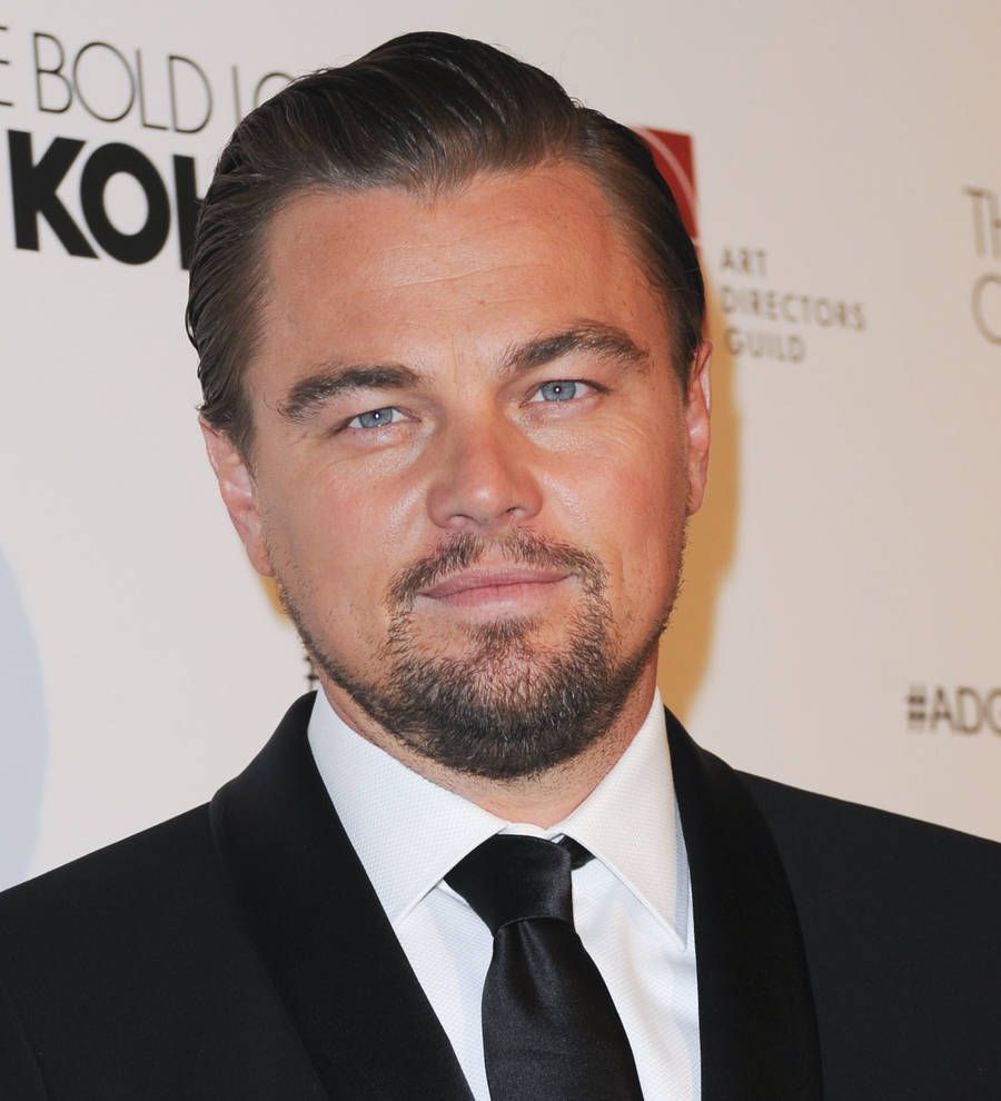 Leonardo DiCaprio developing Mafia drama for TV