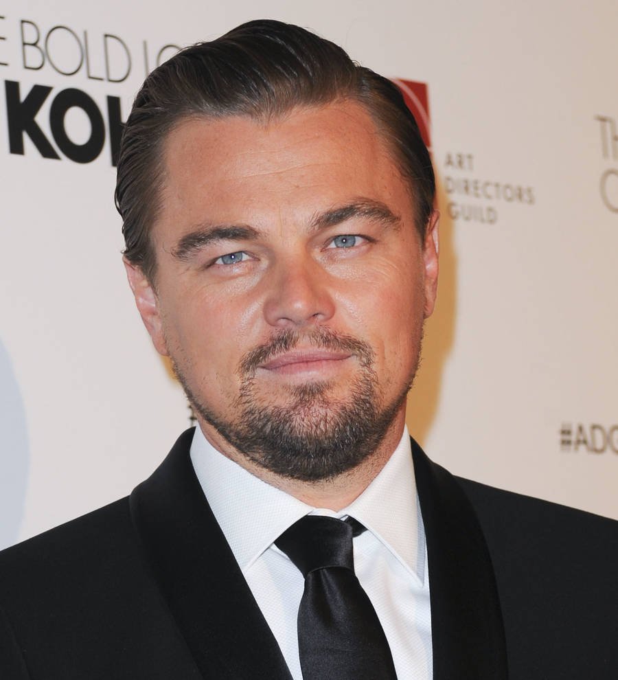 Leonardo DiCaprio developing Mafia drama for TV