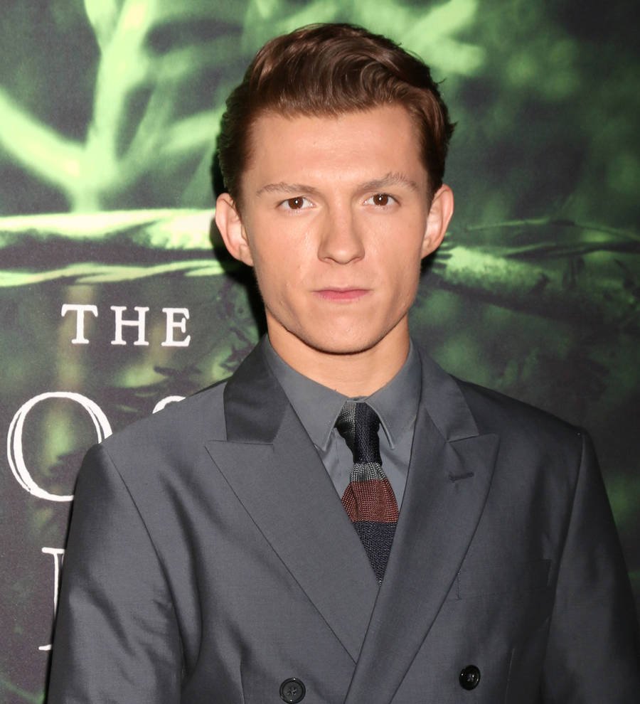 Tom Holland heading into Uncharted territory