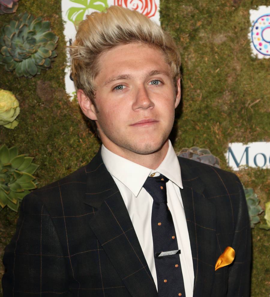 Niall Horan is 'nostalgic' promoting music without One Direction boys