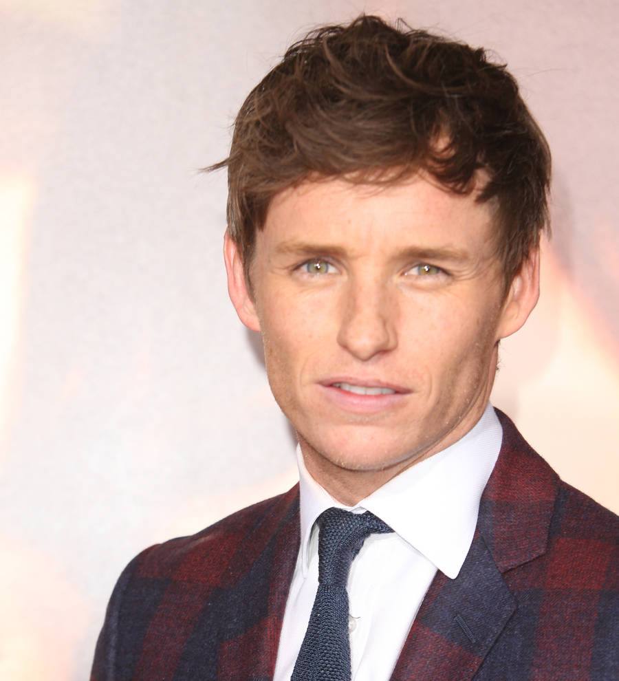 Eddie Redmayne vomited at Madonna's Oscars party