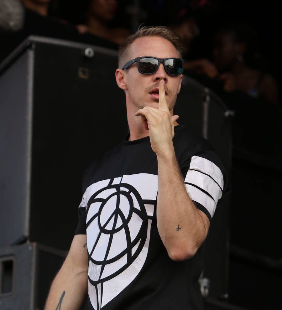 Fan goes overboard on Diplo's cruise