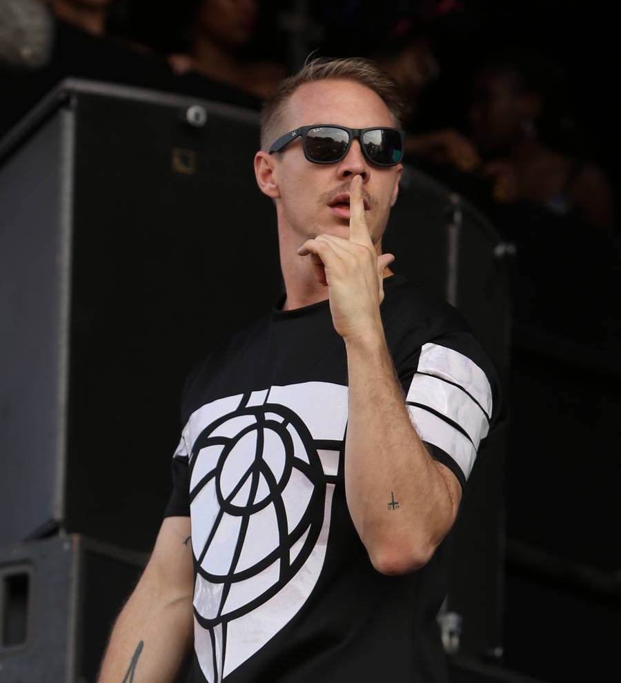Fan goes overboard on Diplo's cruise