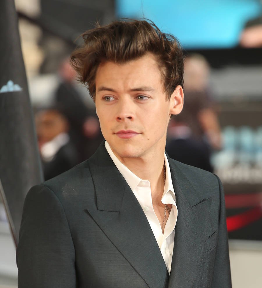 Harry Styles oblivious to Dunkirk role during first audition