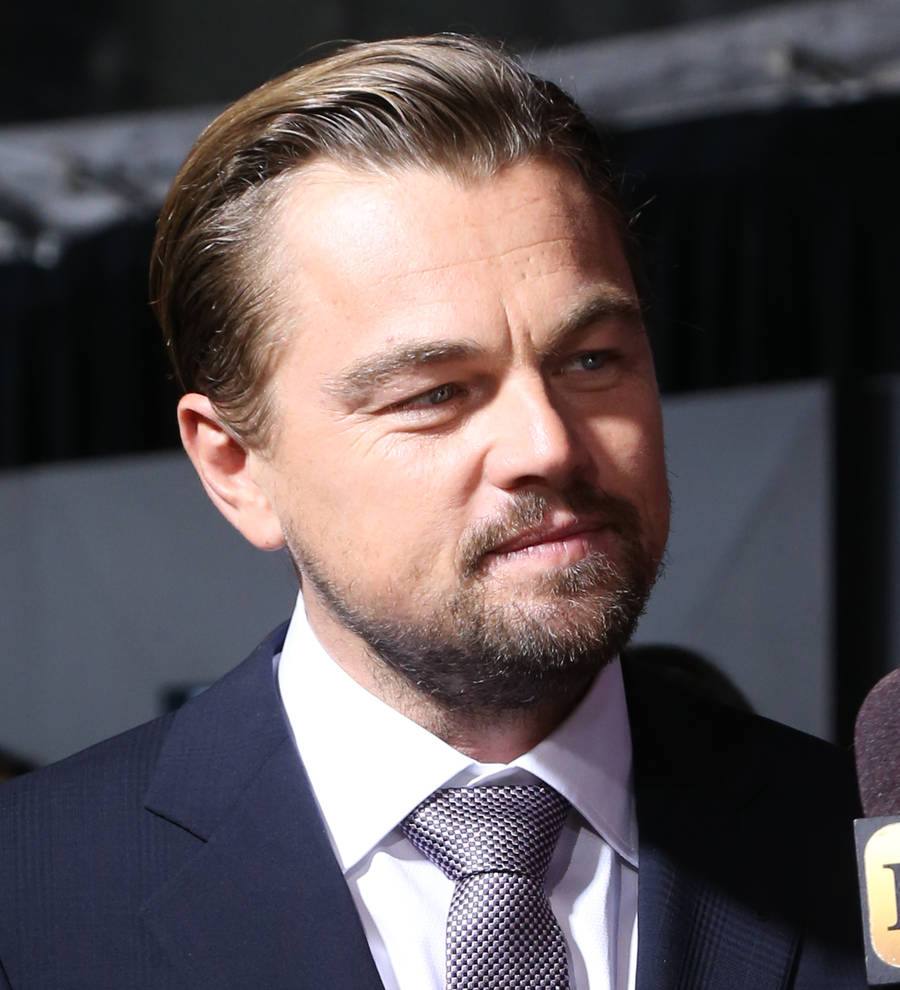 Leonardo DiCaprio calls for protection of indigenous communities at Golden Globes