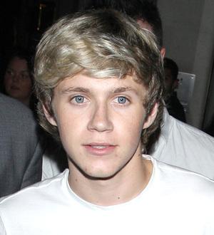 Niall Horan facing knee surgery