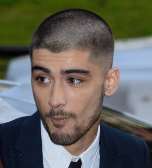 Zayn Malik's Bollywood song project sinks