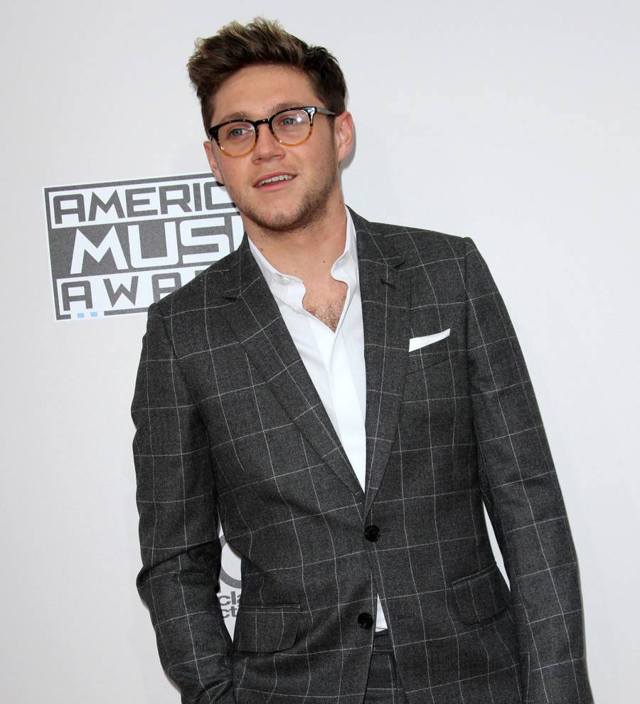 Niall Horan used jar of beans as percussion for first solo album