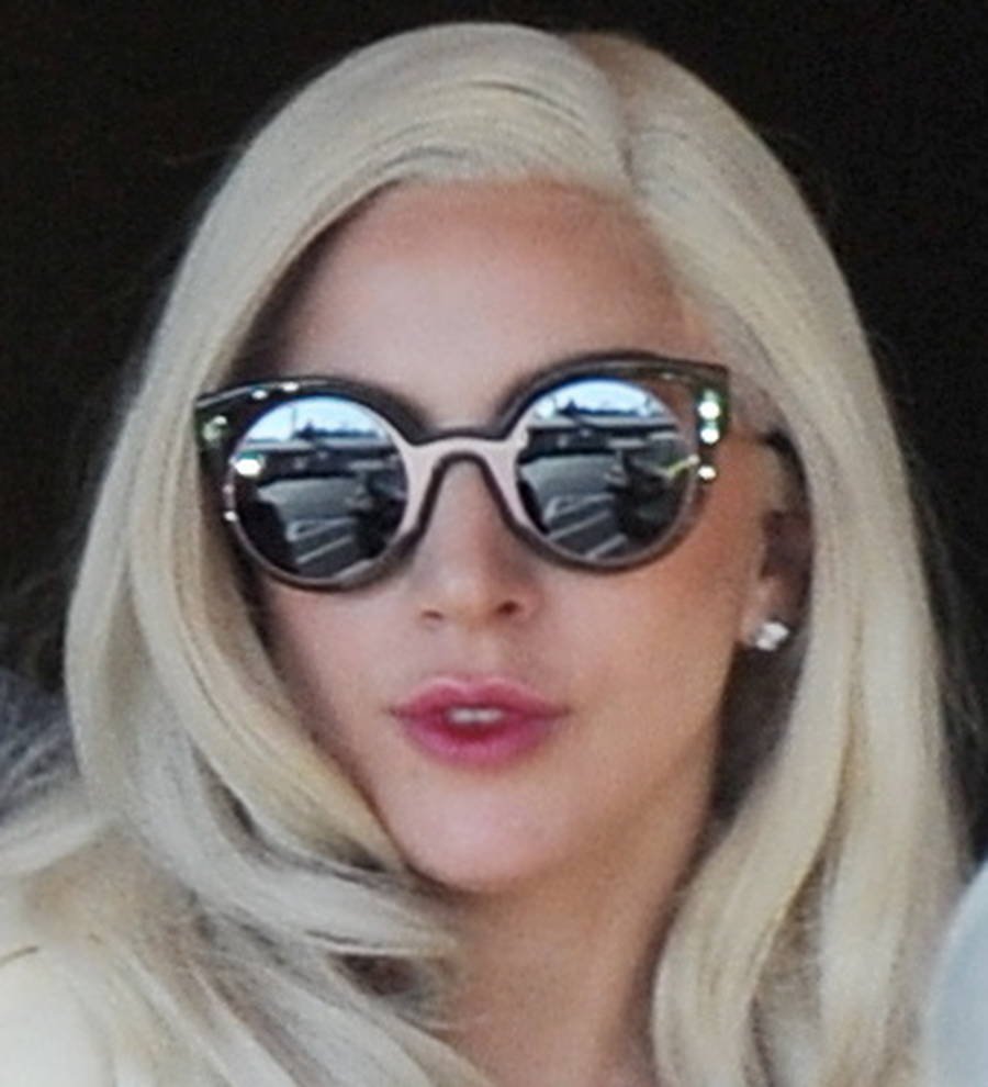 Lady Gaga and her dad teaming up for cookbook