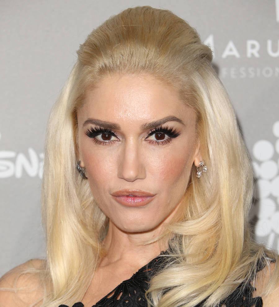 Gwen Stefani: 'I didn't know who Blake Shelton was before The Voice'