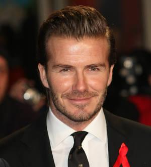 David Beckham and Prince William speak out against animal poaching