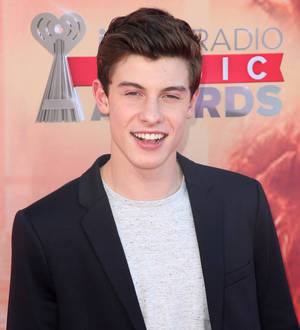 Teenager Shawn Mendes debuts Handwritten at the top of the albums chart