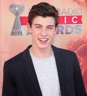 Teenager Shawn Mendes debuts Handwritten at the top of the albums chart
