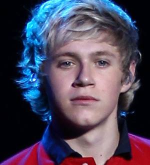 One Direction star Niall Horan loses voice