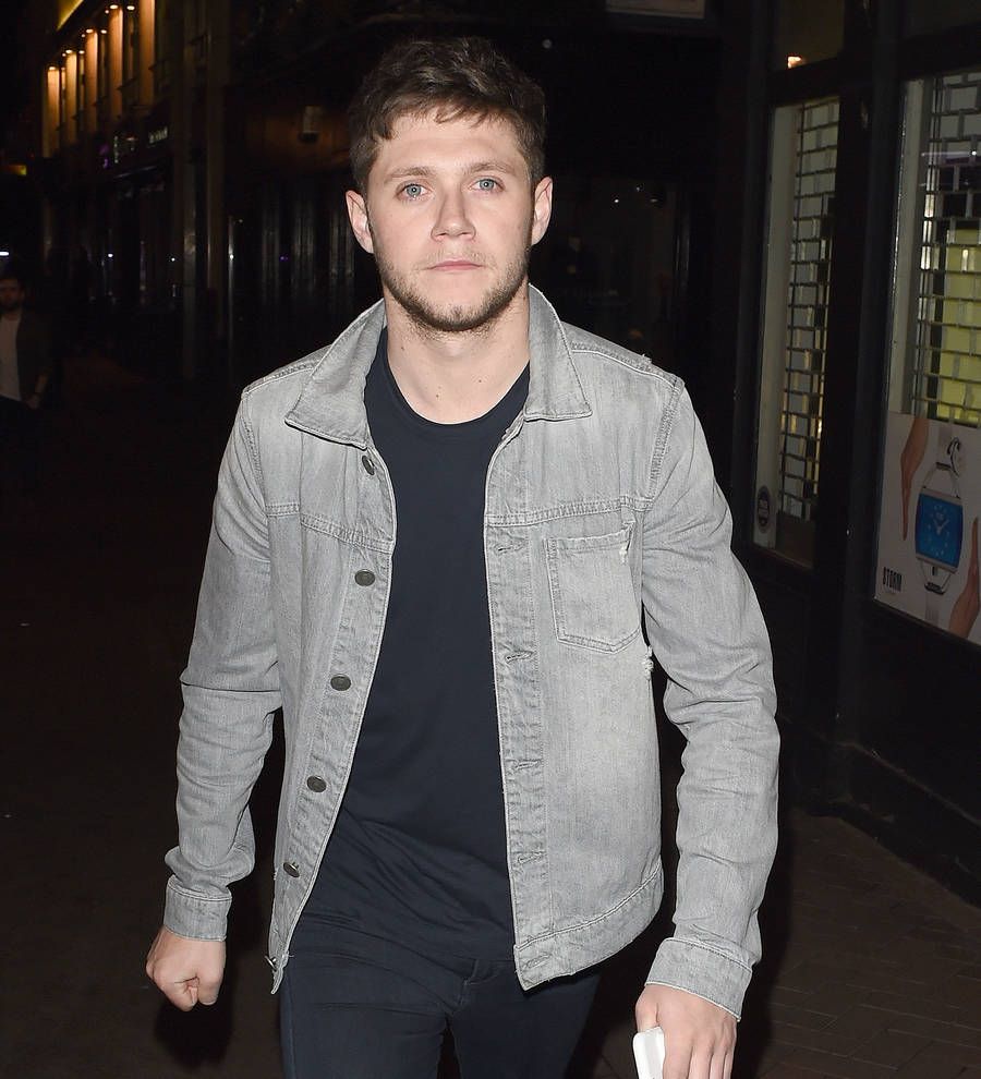 Niall Horan dials 'daddy' Don Henley for career advice