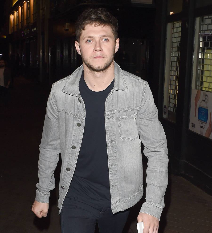 Niall Horan likens himself to a leprechaun on St. Patrick's Day