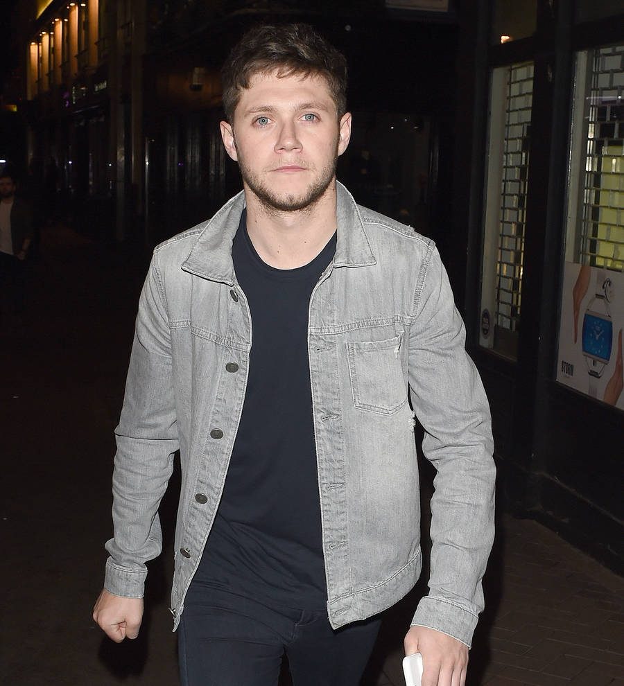 Niall Horan dials 'daddy' Don Henley for career advice