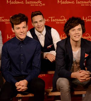 David Beckham visits One Direction