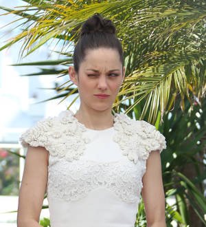 Marion Cotillard learned Polish for new film