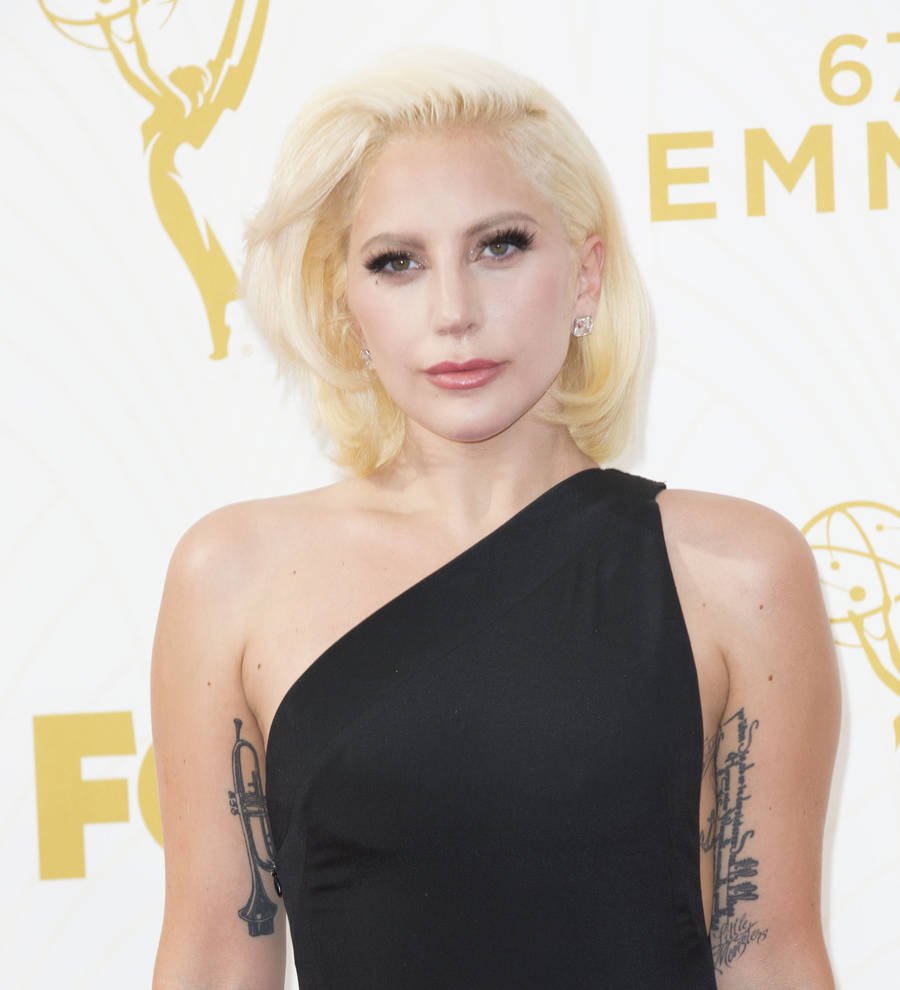Lady Gaga raises,000 for AIDS research