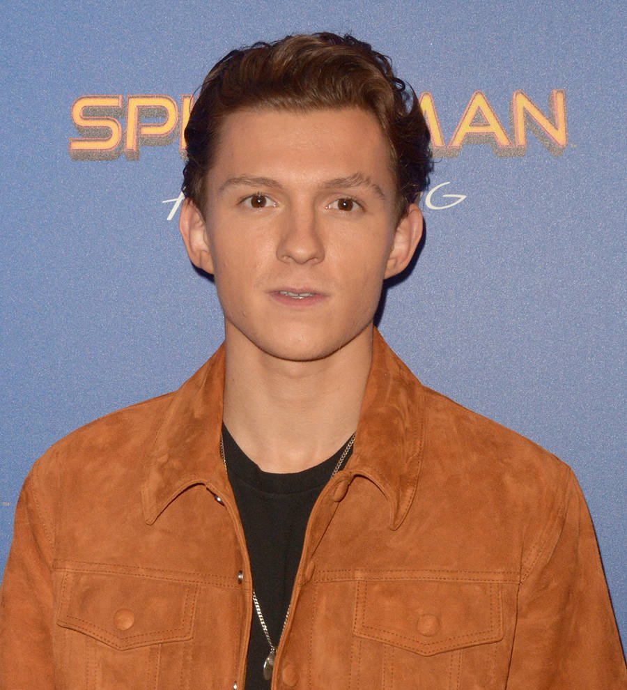 Tom Holland mistook stuntman for Robert Downey Jr. during audition