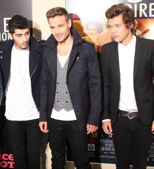 One Direction vow to release an album every year