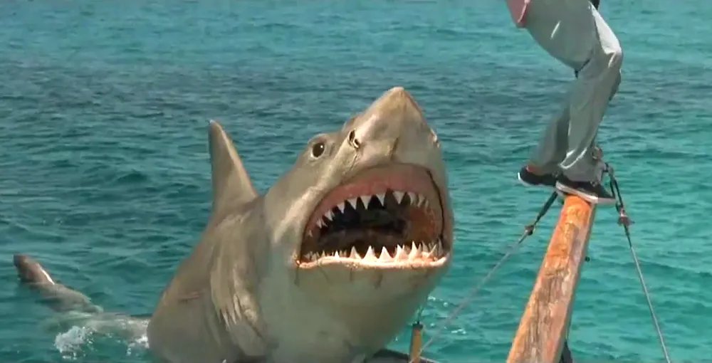 SCARY MOVIE GUILTY PLEASURES: 'Jaws: The Revenge'
