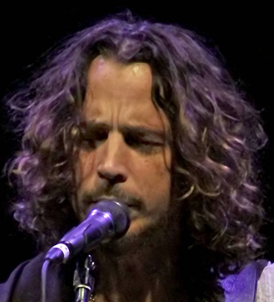 Brad Pitt, Lars Ulrich and Pharrell Williams among mourners at Chris Cornell's memorial