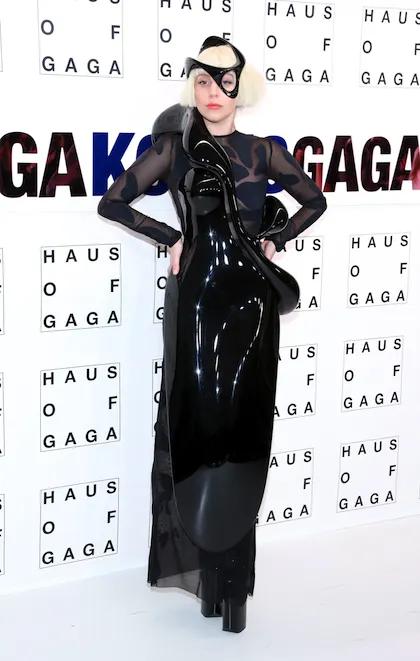 Portrait of Lady Gaga