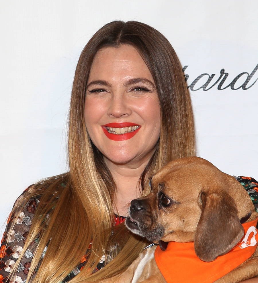 Drew Barrymore grows emotional speaking about her pets