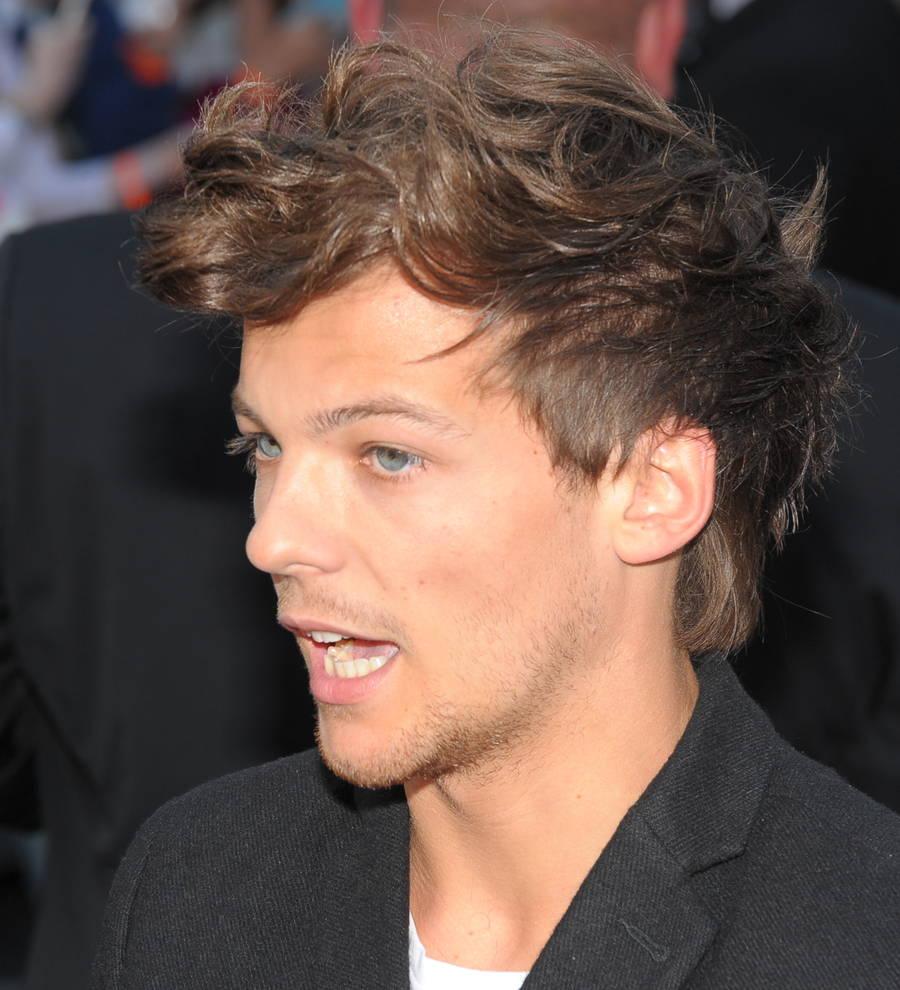 Louis Tomlinson to spend time with baby during hiatus