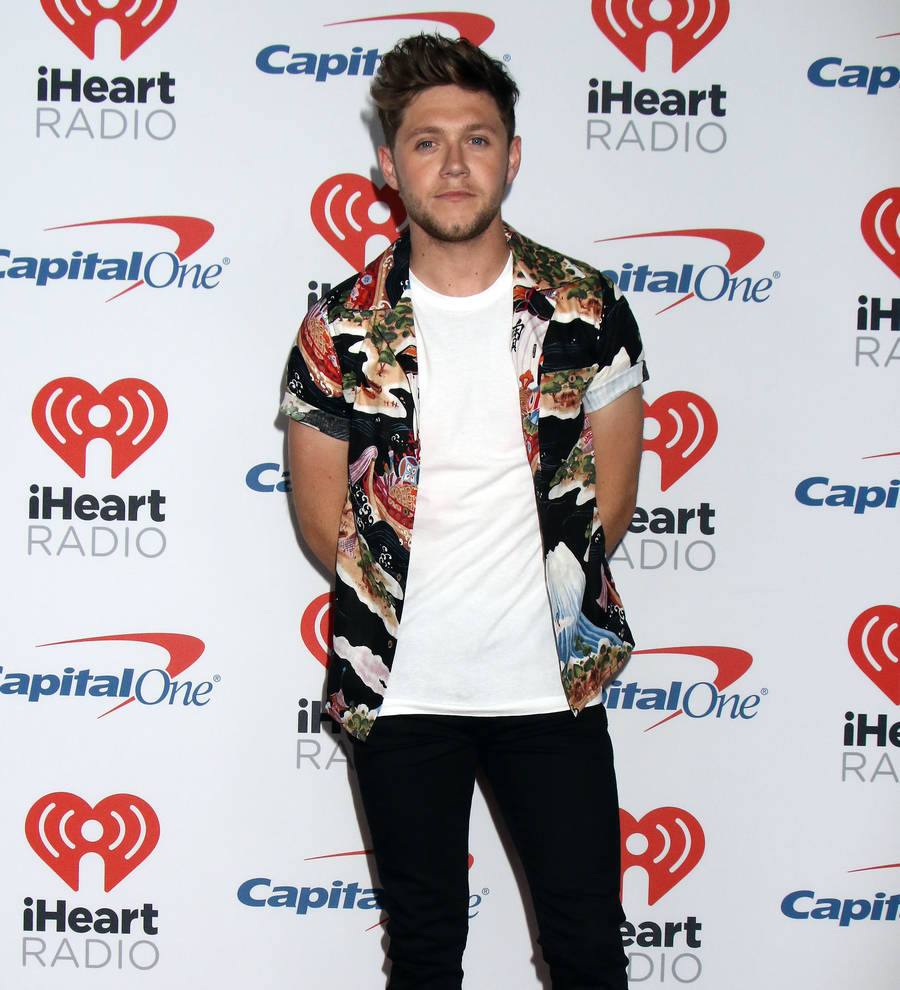 Niall Horan denies relationship with Olympia Valance