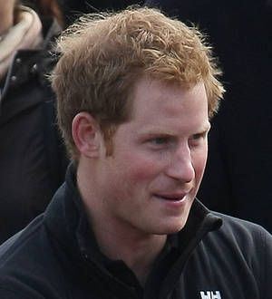 Prince Harry reaches South Pole