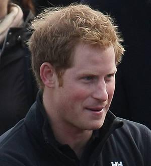 Prince Harry reaches South Pole