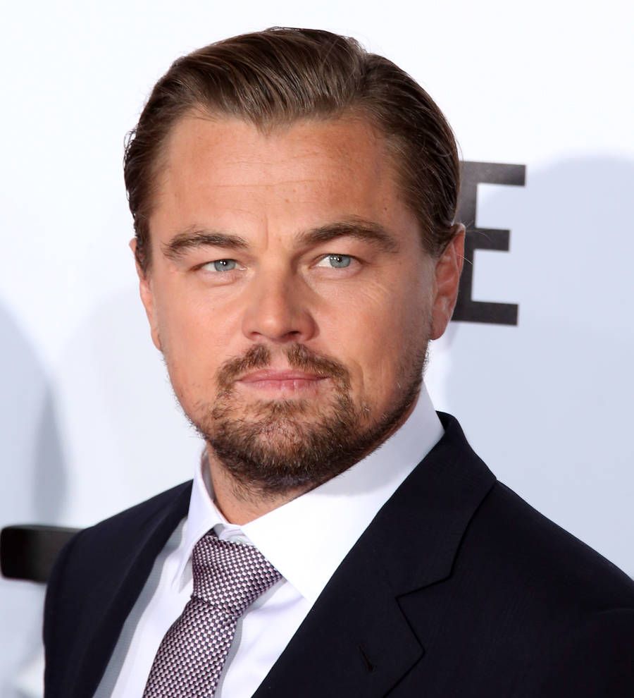 Leonardo DiCaprio meets the Pope