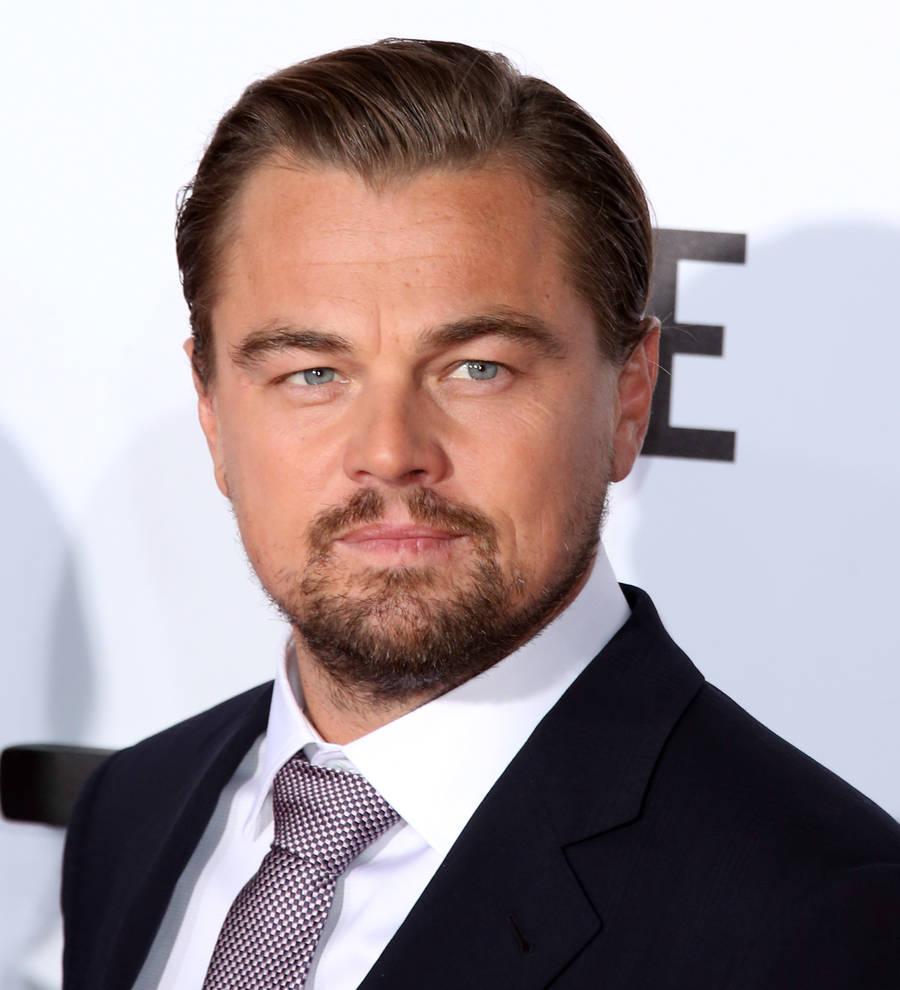 Leonardo DiCaprio meets the Pope