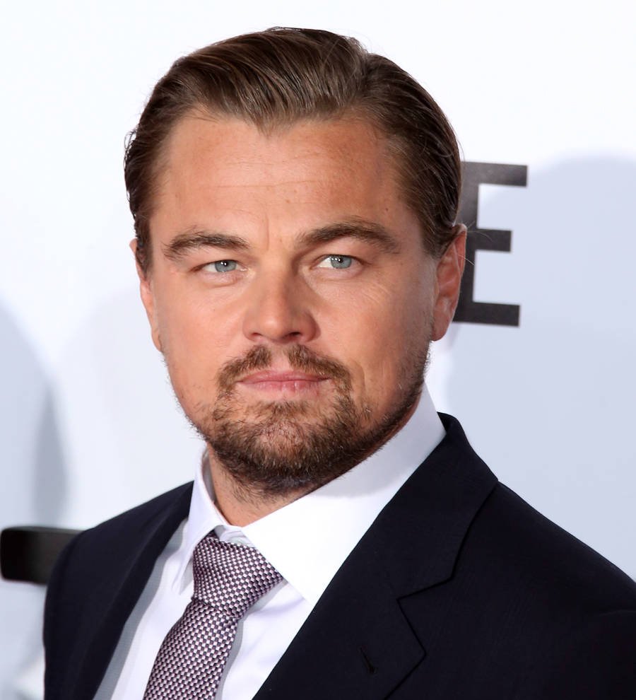 Leonardo DiCaprio meets the Pope