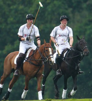 Prince William's polo dreams dashed by brother during birthday game