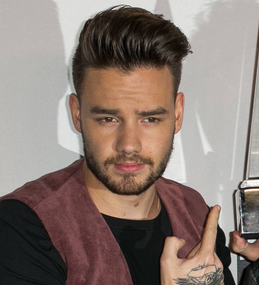 Liam Payne keen for Enrique Iglesias duet