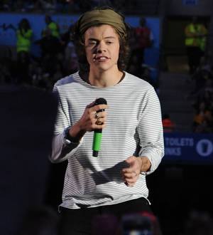 Harry Styles relished homecoming after tour illness
