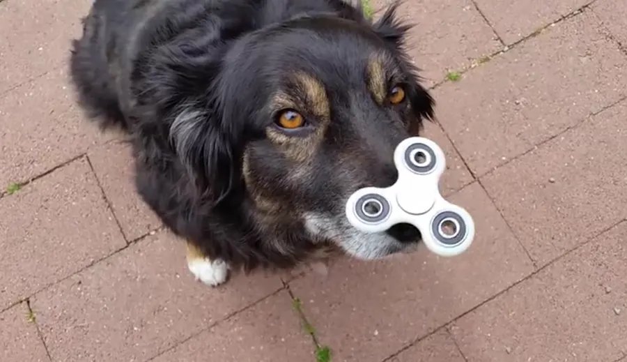 5 Times the Fidget Spinner Craze Went Too Far!
