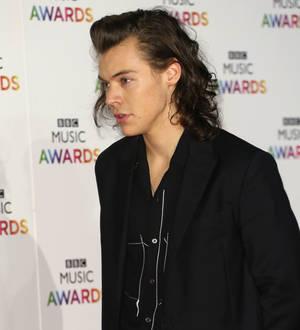 Harry Styles builds a bar in his basement - report