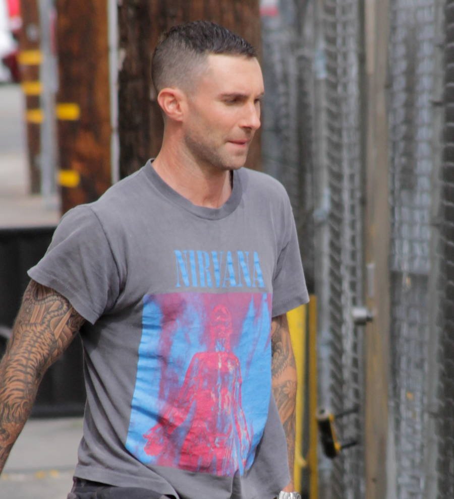 Maroon 5 reschedule gig as frontman battles neck muscle issues