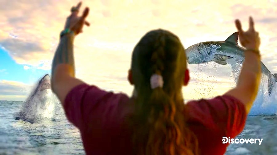 Celebs Love Shark Week!