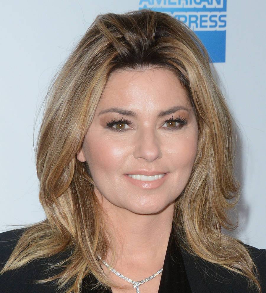 Shania Twain: 'I'm ready for American Idol'