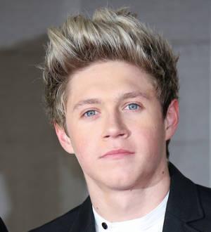 Niall Horan washes away shower snap speculation