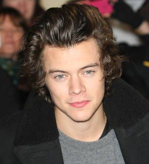 Harry Styles sparks criticism over Instagram photo