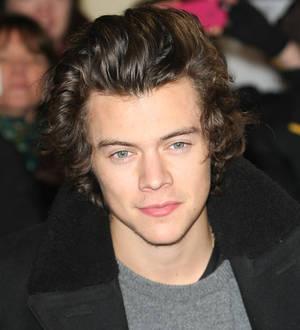 Harry Styles sparks criticism over Instagram photo