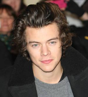 Harry Styles sparks criticism over Instagram photo